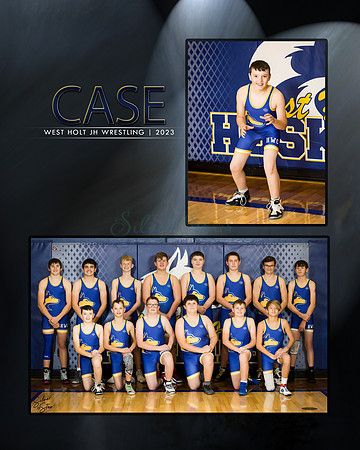 CASE
