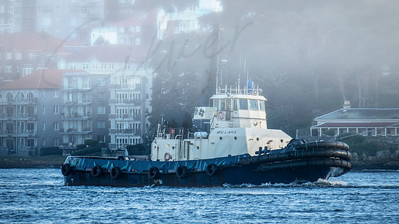 IMG_0012_retou_sydney
