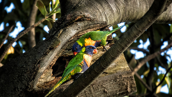 IMG_0021_retouch_sydney