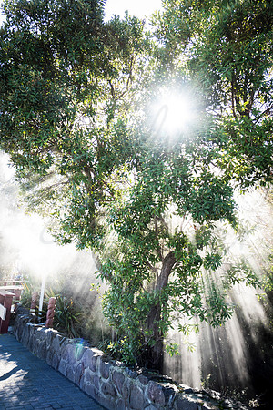 IMG_0113_retouch_rotorua