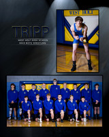 TRIPP