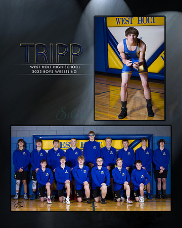 TRIPP
