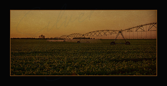 8x4 Flat Card_VALLEYPIVOT_BLACK