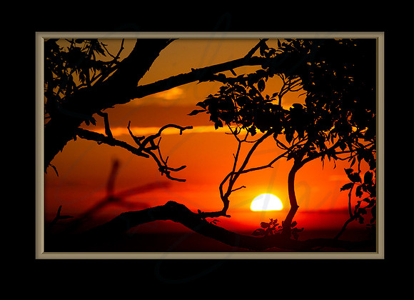 7x5 Card Back_ALFALFASUNSETb