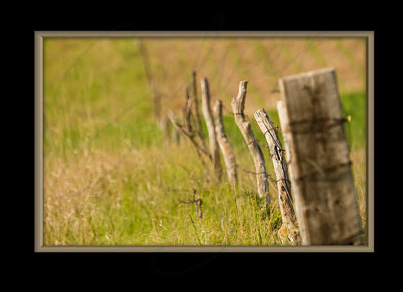 7x5 Card Back_FENCEb